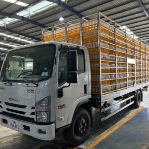 ISUZU NQR75M EURO4 2023 5,5 Tấn (6,2m)