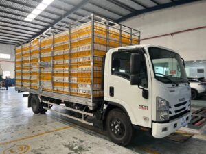 ISUZU NQR75M EURO4 2023 5,5 Tấn (6,2m)