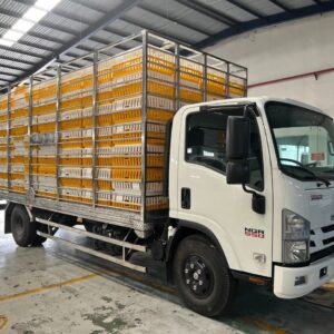 ISUZU NQR75M EURO4 2023 5,5 Tấn (6,2m)